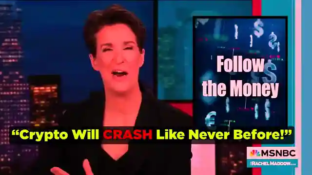 bitcoin-vs-beanie-babies-altcoin-daily-exposes-truth-behind-mainstream-media-fud