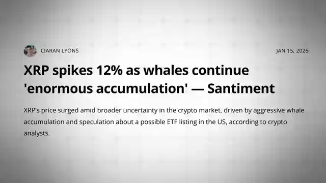 decoding-the-crypto-market-bitcoin-altcoins-and-market-cycles