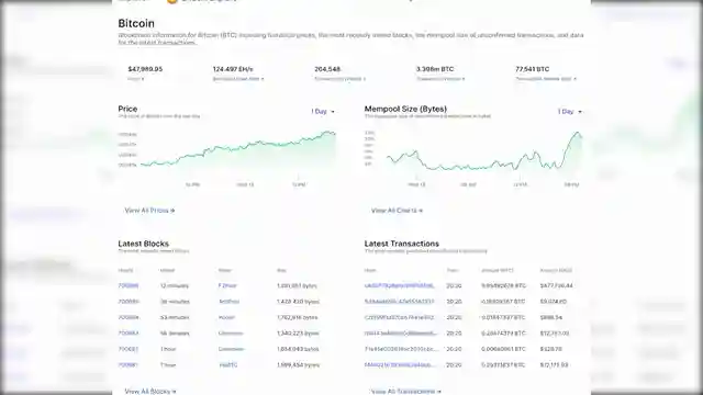 crypto-vs-traditional-finance-unveiling-fraud-and-resilience