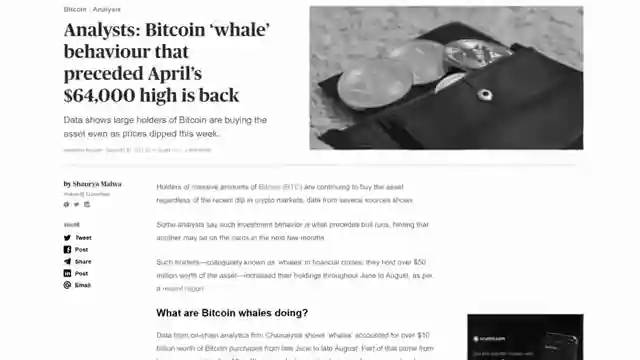 unveiling-bitcoins-path-to-1-million-market-chaos-and-investor-insights