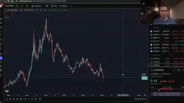 decoding-crypto-capital-bitcoin-dominance-vs-meme-coin-hype