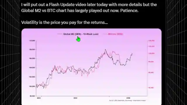 bitcoin-market-panic-insights-for-new-investors-and-altcoin-opportunities