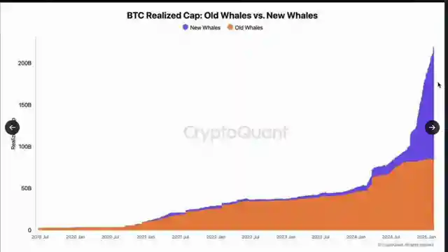cryptocurrency-wealth-transfer-major-players-enter-market-amid-meme-coin-scandal